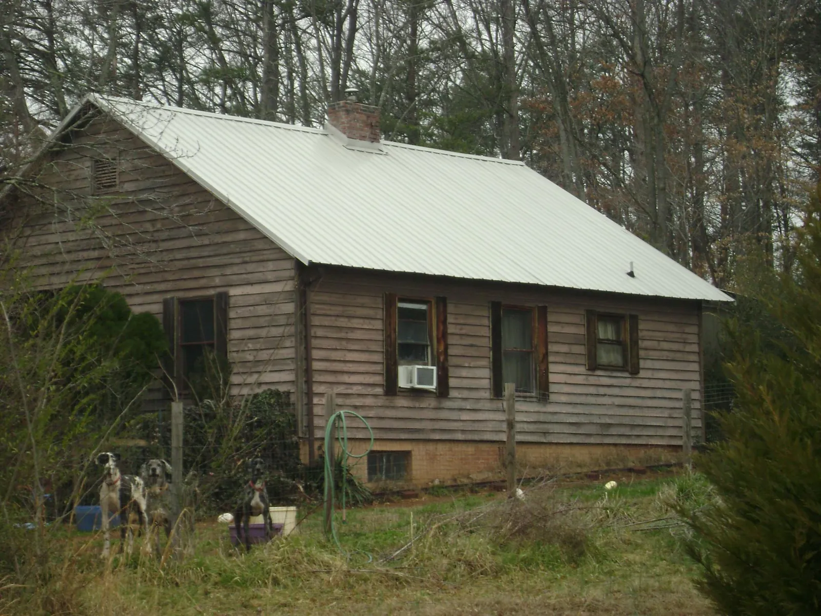 White metal roof on an old wood sided farmhouse, from a Asphalt Shingle Roof Repair job in Tellico Plains